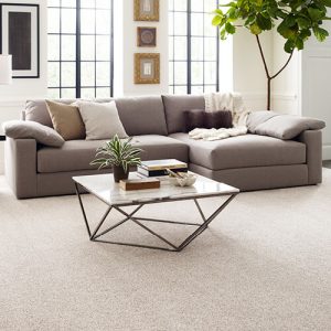 Living room carpet flooring | Sterling Carpet Shops, Inc