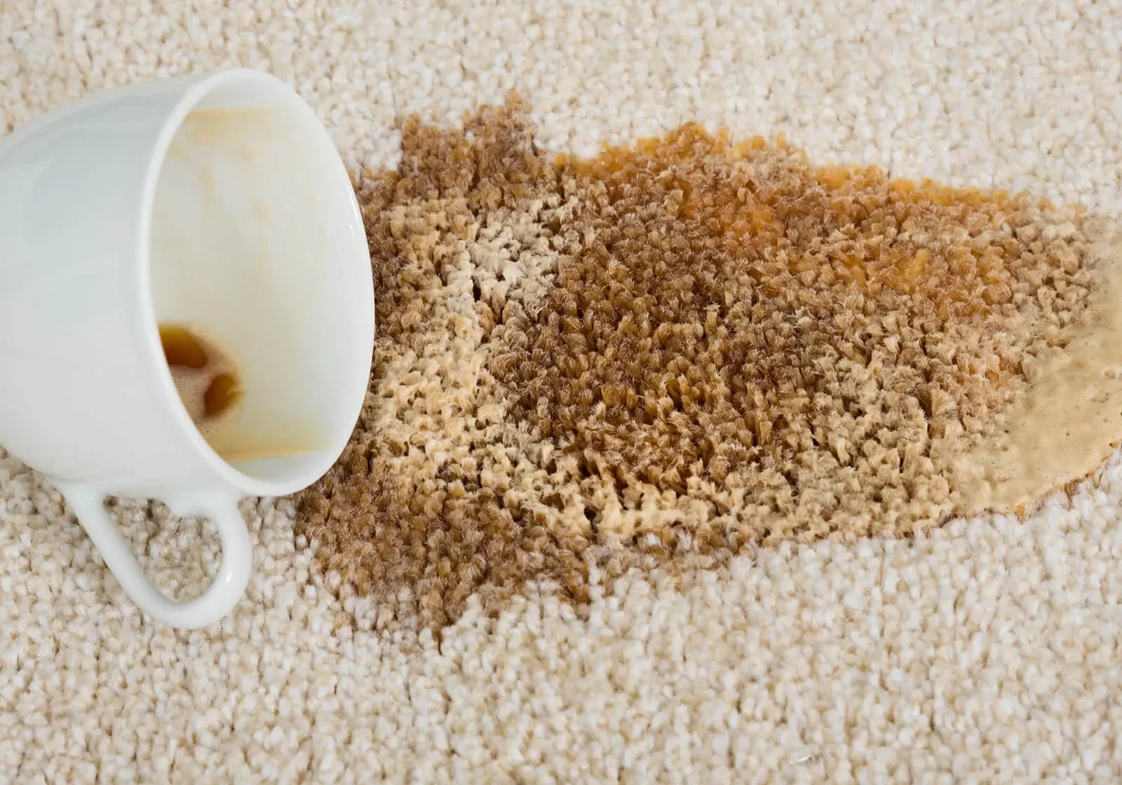 carpetCleaning2_1600x1600 carpetCleaning2_1600x1600